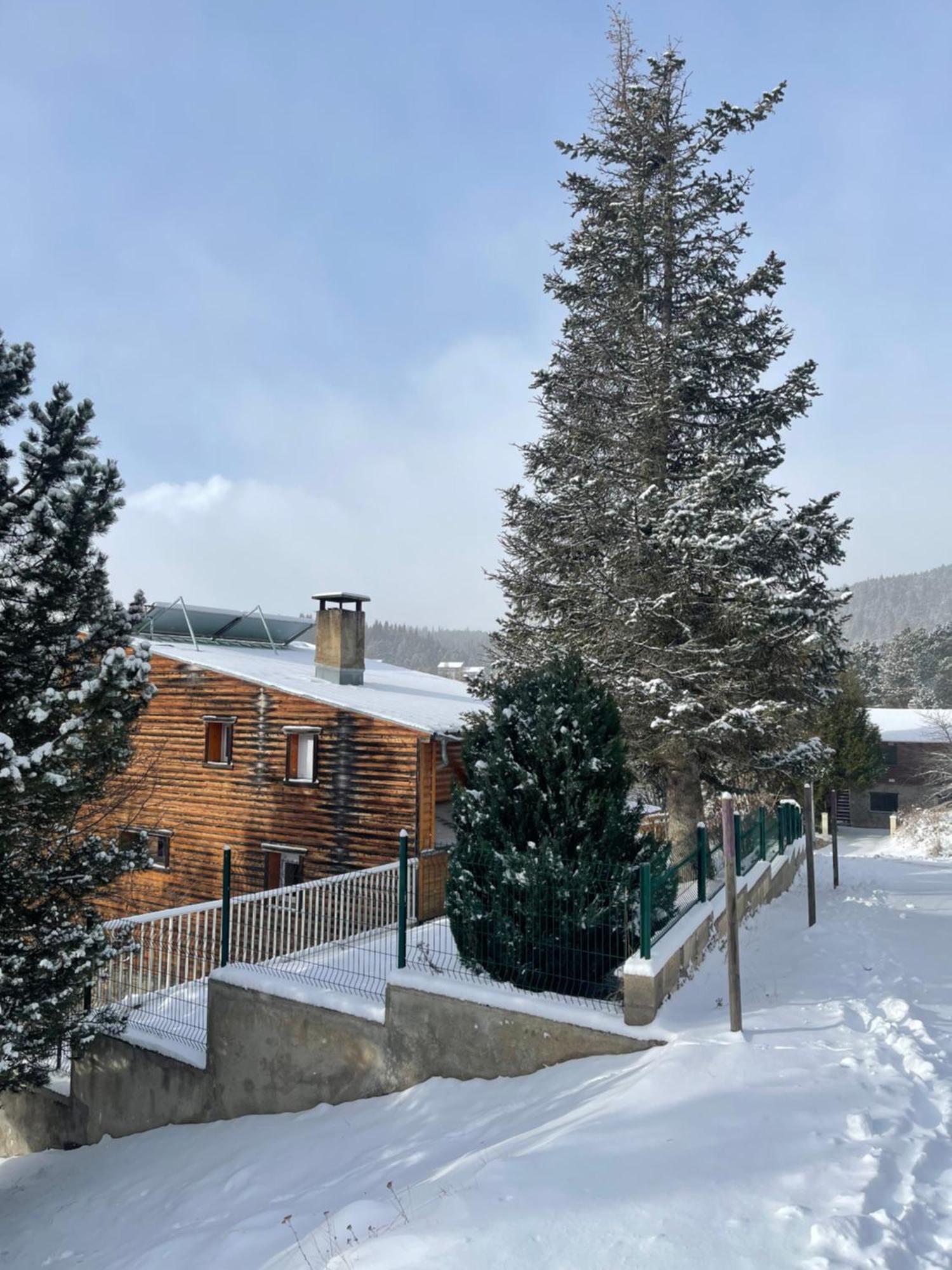 Chalet Isard Pyrenees 2000 - 300M Des Pistes Bolquere Exterior photo